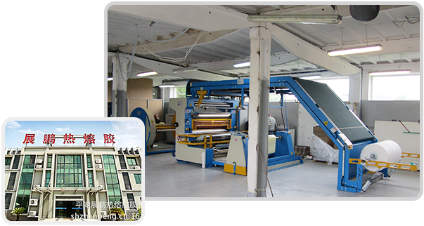 Pinghu Zhanpeng tavné lepidlo Web & Film Co., Ltd.